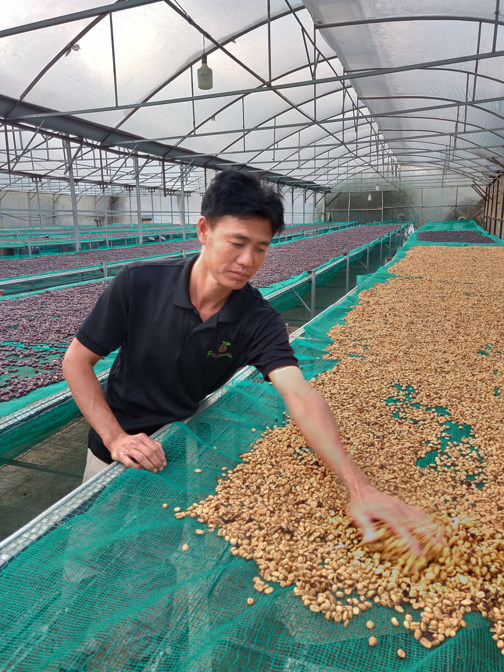 Drachenbohne | Espresso aus Vietnam