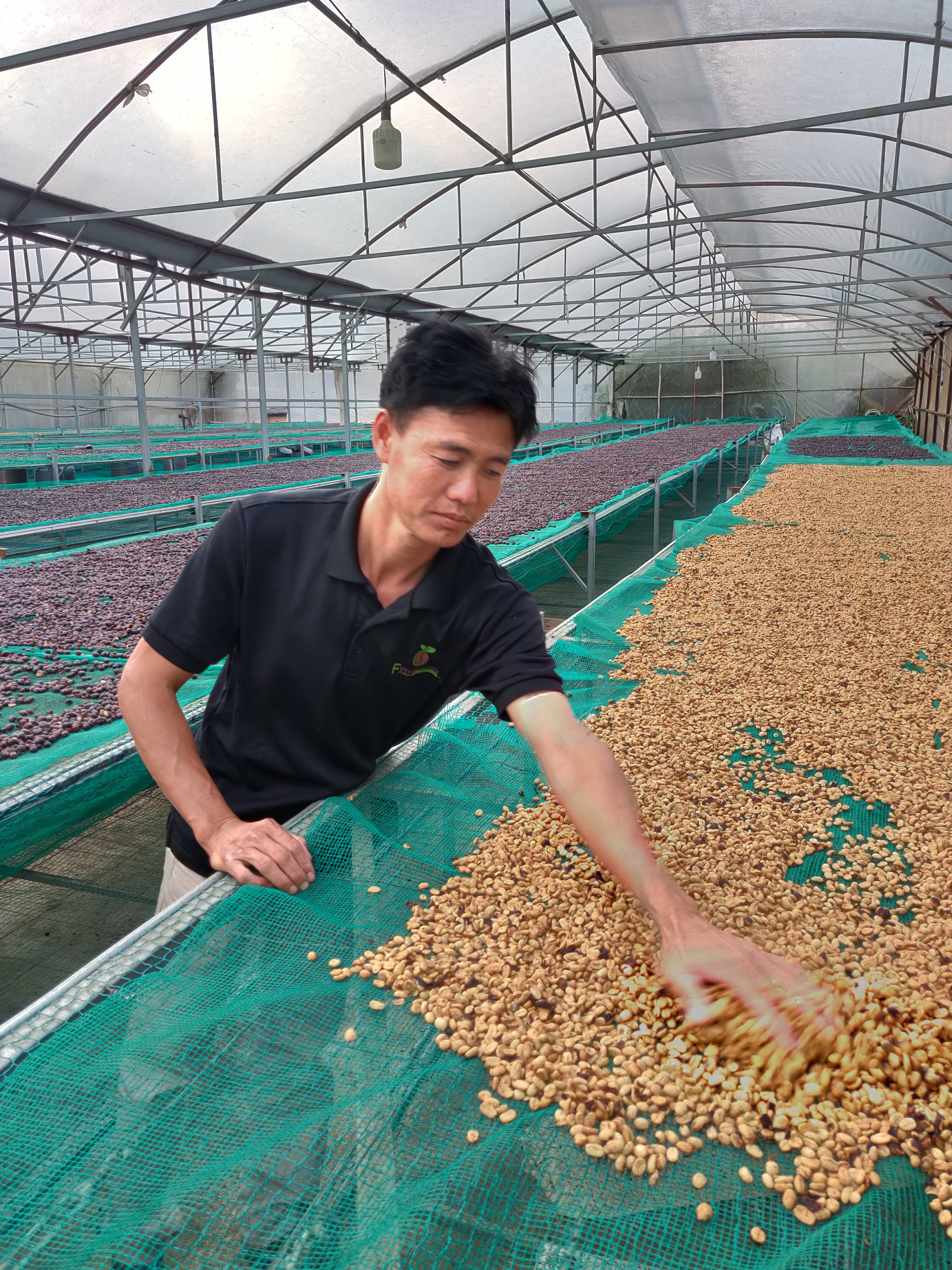 Drachenbohne | Espresso aus Vietnam